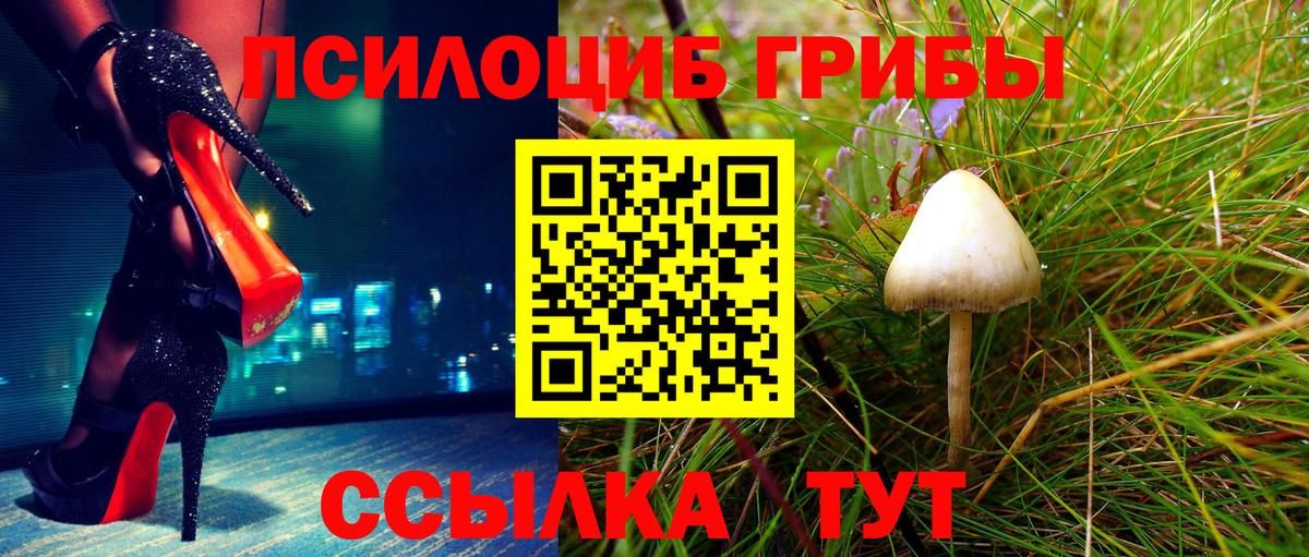 Майский  Галлюциногенные грибы Psilocybine cubensis  Вход с VPN  где продают   Псилоцибиновые грибы мицелий 