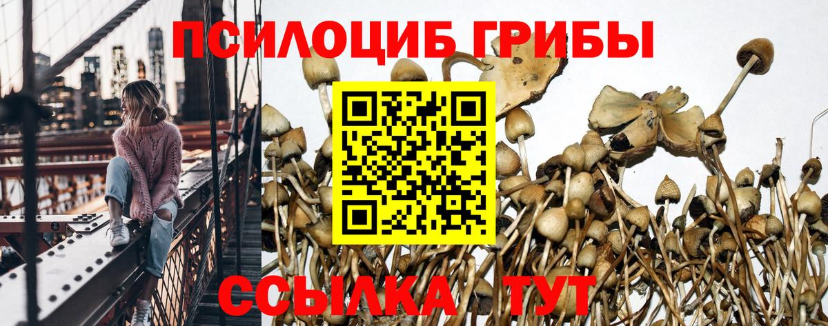 Псилоцибиновые грибы мухоморы Майский